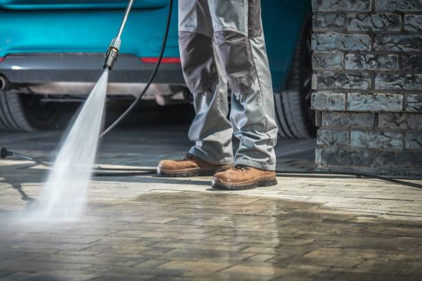 Best Gutter Cleaning  in Land O Lakes, FL